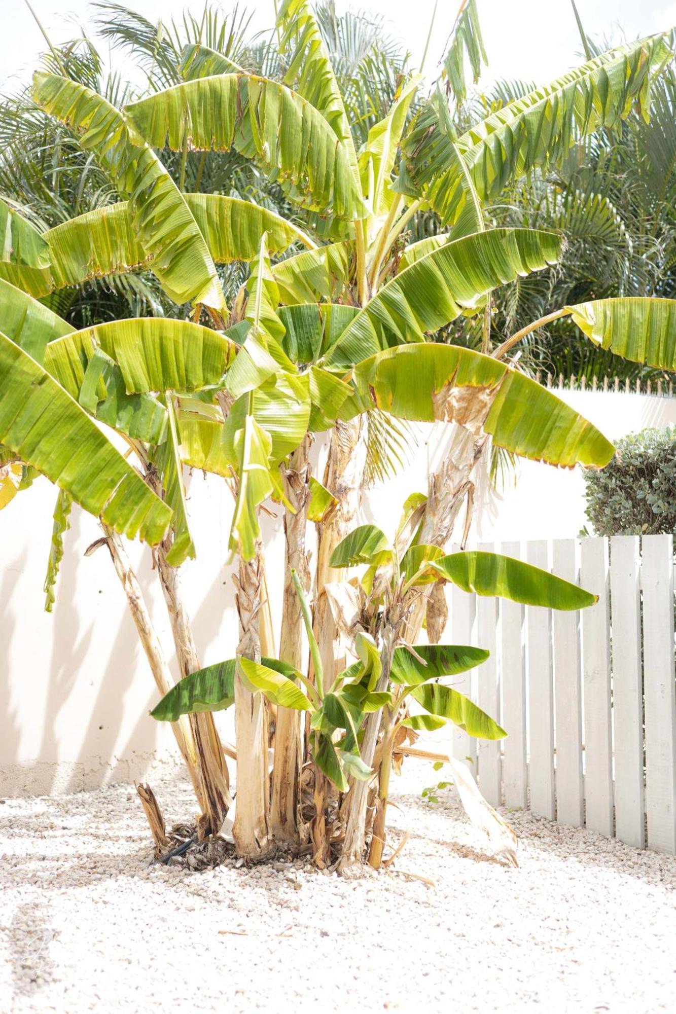 Dushi Townhouse Curacao Apartment Willemstad Exterior photo